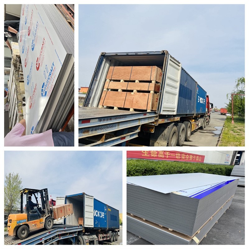 product-800-800 product-800-800